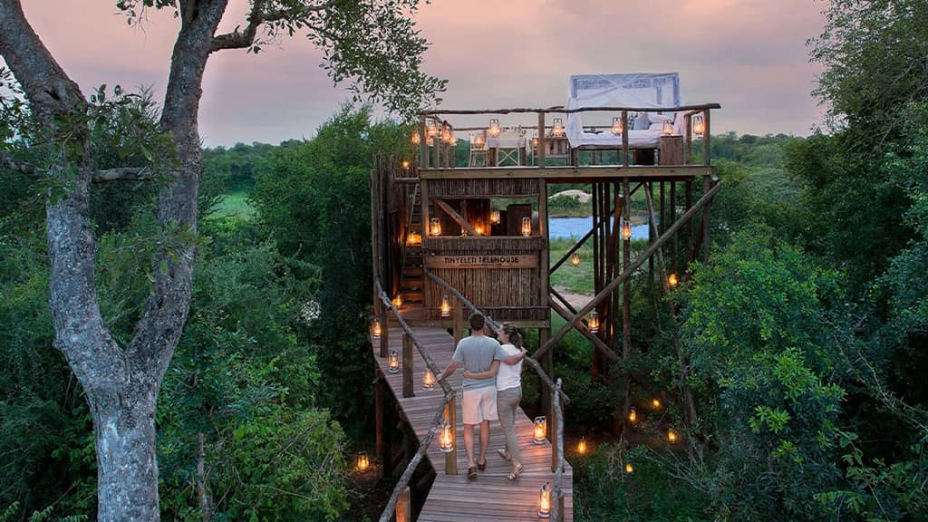 Treehouse Safari